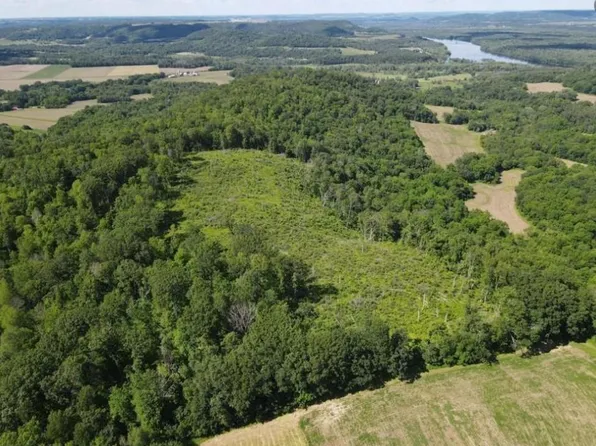 Tulip Ln, Pepin, WI 54759