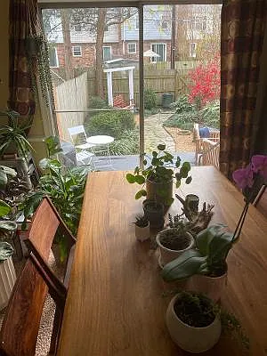 dining room looks out on beautifully