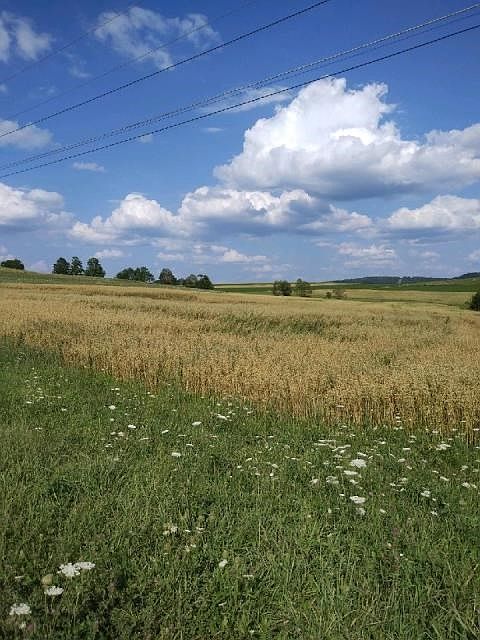 2nd image of 109 Mitchell Hollow Rd