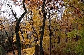 1st image of 2283 Mulligan Cir