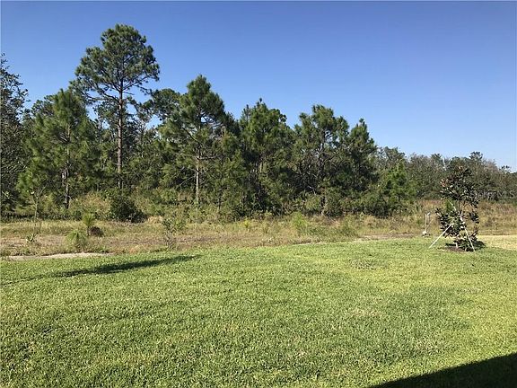 4th image of 10042 Lovegrass Ln