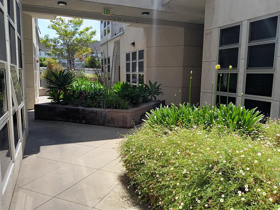 Courtyard