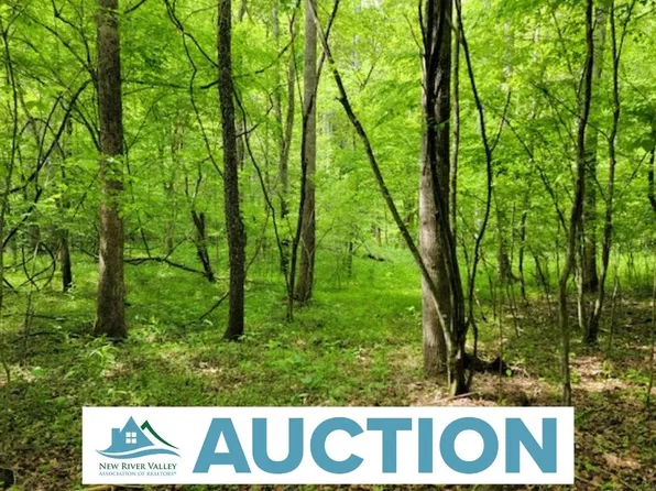 Tbd4 Shortcut Dr, Woolwine, VA 24185