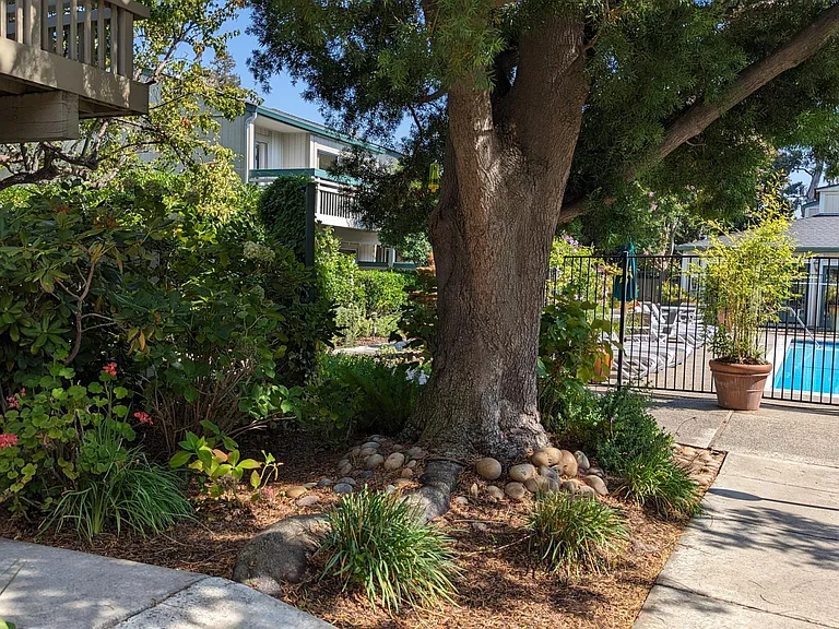 Live Oak Apartments — Photo 75