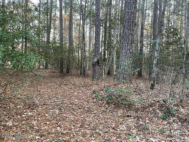 1st image of 176 Pamlico River Drive