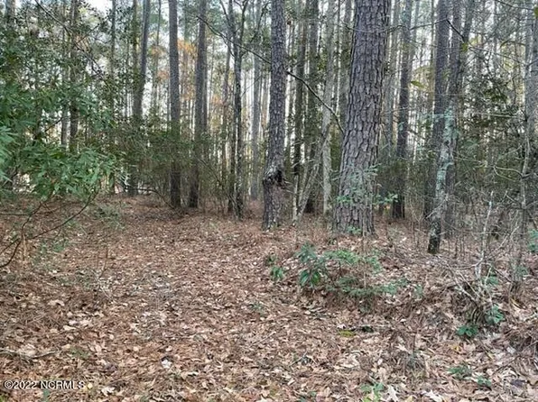 176 Pamlico River Drive, Washington, NC 27889