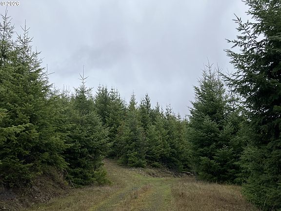 5th image of Usfs 71 Rd