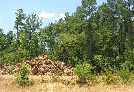 2nd image of 152 Willow Forest Rd #L44