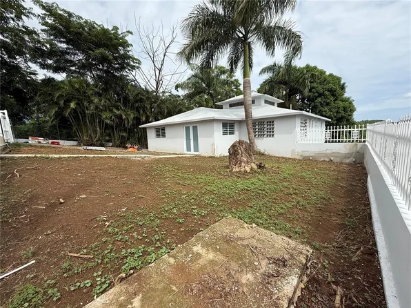 Bo Ortiz La Vega La Vega, Toa Alta, PR 00953