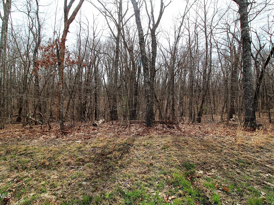 2nd image of 140 Folkstone Rd