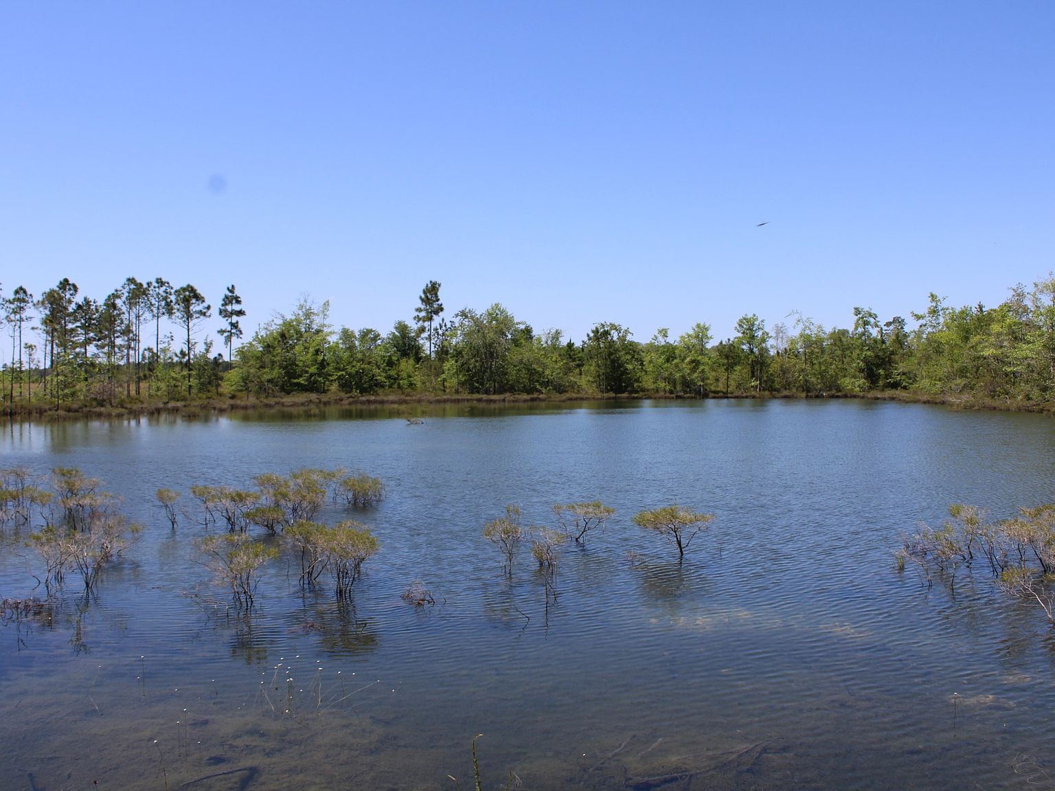 N/s Hwy TRACT 1221, Lakeland, GA 31635 MLS 11204019 Zillow