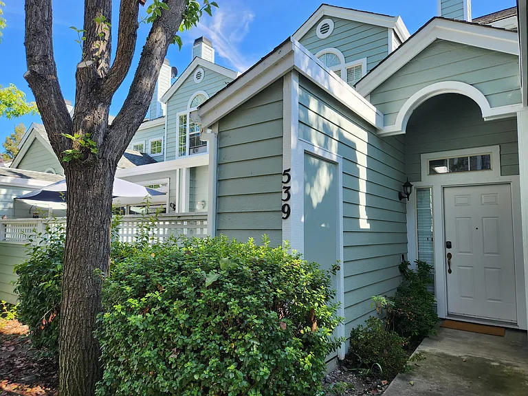 539 Torrey Pine Ln — Photo 1