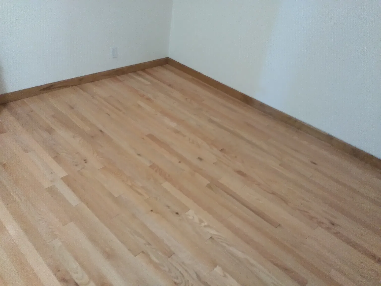 1 bed, 351 sqft, $2,700 — Photo 4