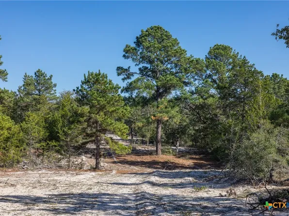 555 Altamira Ln, Dale, TX 78616