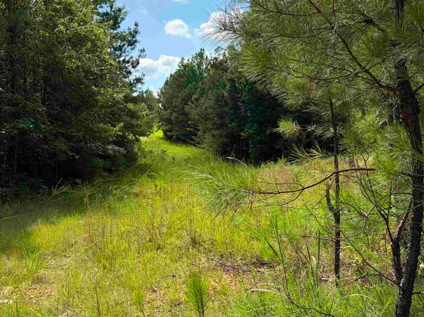 County Road 228 #1, Clanton, AL 35045