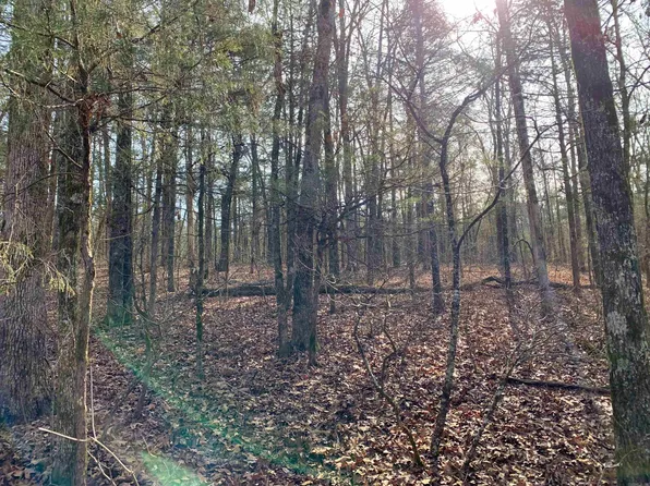11 Buckeye Ln, Quitman, AR 72131