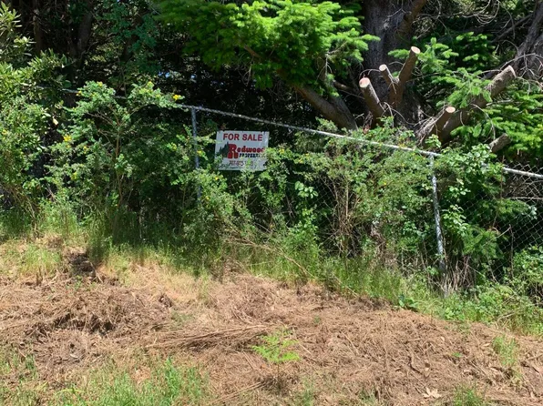 230 Cougar Rd, Whitethorn, CA 95589