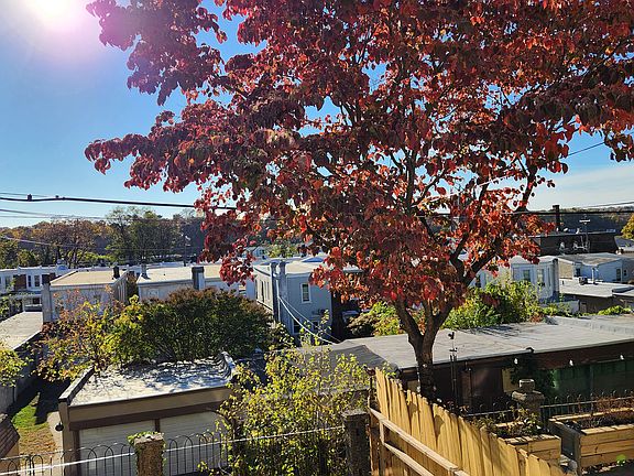 Views from rear porch