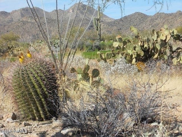 1st image of 13979 N Bowcreek Springs Pl #10