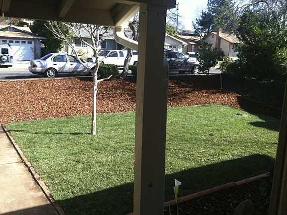 View from Porch