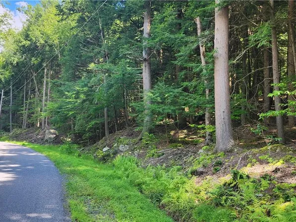 Starlight Road, Monticello, NY 12701