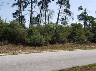 13039 Partridge St, Spring Hill, FL 34608