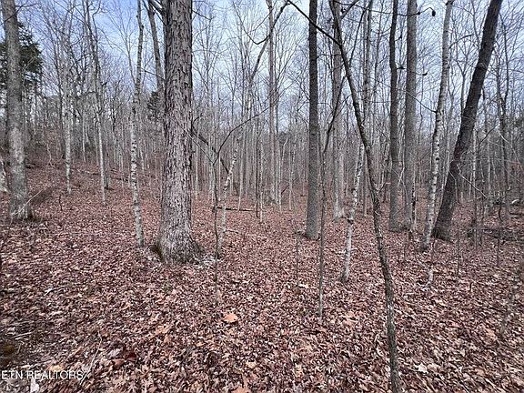 2nd image of 0 Buffalo Cove Rd