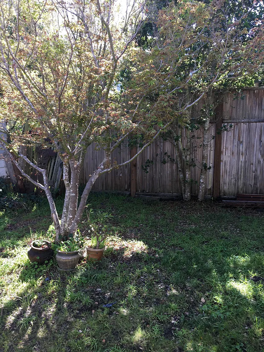 3111 Serra Ave photo 1