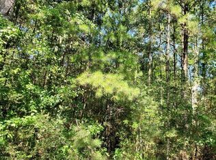 County Road 107, Ariton, AL 36311