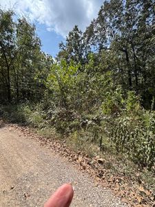 36 Fm 101 Rd S, Hardy, AR, 72542