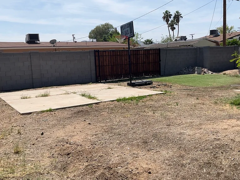 Backyard