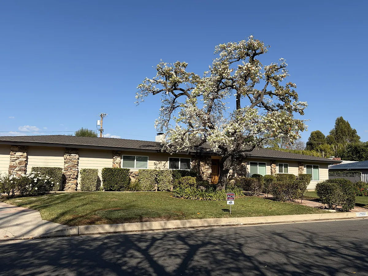 Photo 2 of 42 - 17537 Margate St - Encino, CA Street view - 17537 Margate St