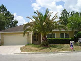 front of home, gorgeous palm
