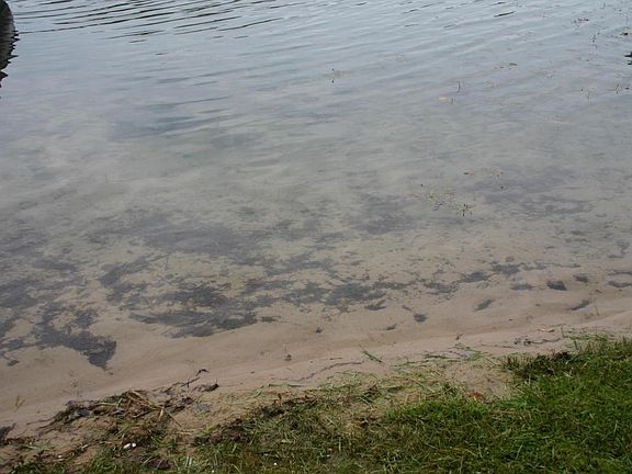 4th image of 4763 S Lakeshore Blvd
