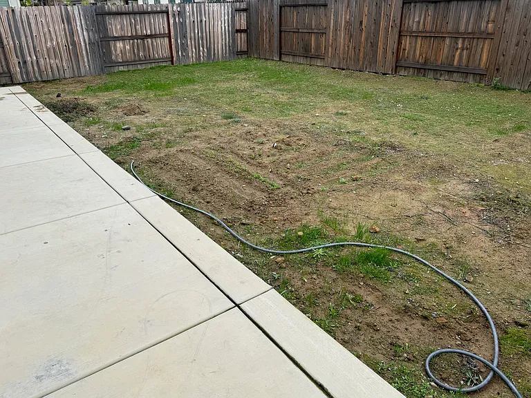 Low maintenance backyard