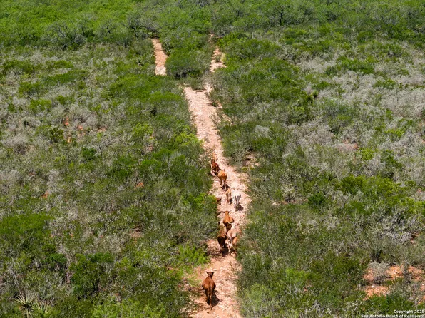 4700 fm -3196, San Diego, TX 78384