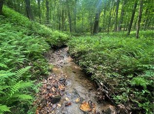 0 Ravencliff Rd, Talking Rock, GA 30175