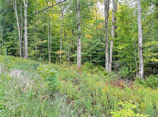 0 Tanner Dr #1, West Monroe, NY 13167