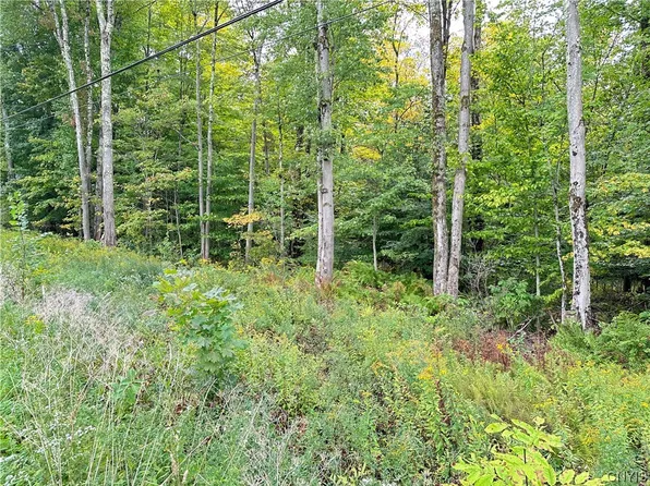 0 Tanner Dr #1, West Monroe, NY 13167