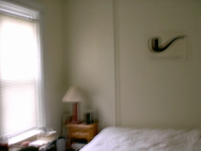 328 Madison Ave #1 — Photo 3
