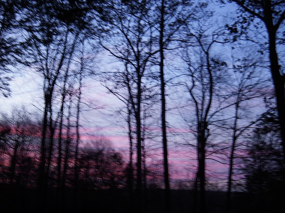 Sunset view