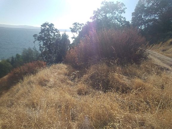 Driveway for 6817 Berwick Rd