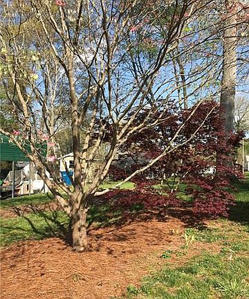 4th image of 404 N Hawthorne St