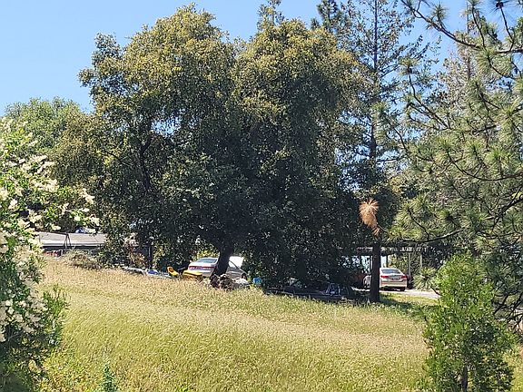 3rd image of 52066 Road 426