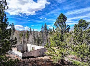 101 Patch Ct, Como, CO 80456