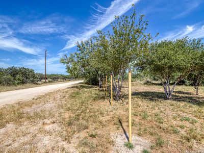 16 HWY 55, Uvalde, TX, 78801