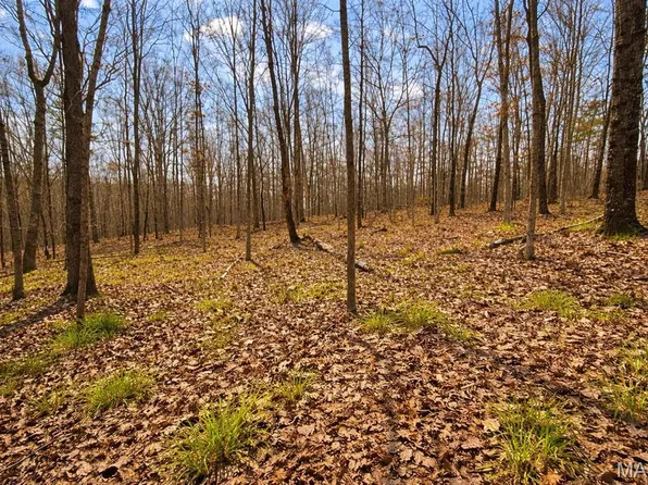 0M Apache Trl, Raymondville, MO 65555