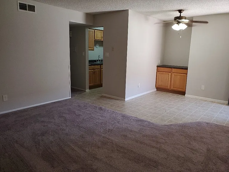 1224 E Evergreen St #133 — Photo 16