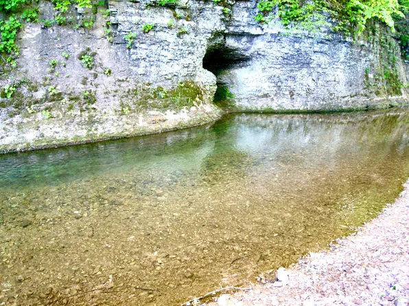 165 Les Ferrell Rd, Stewart, TN 37175