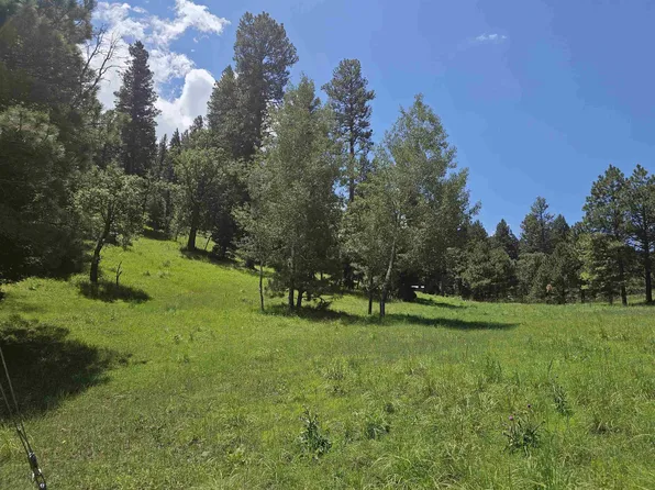 Trading Post Rd, Cloudcroft, NM 88317